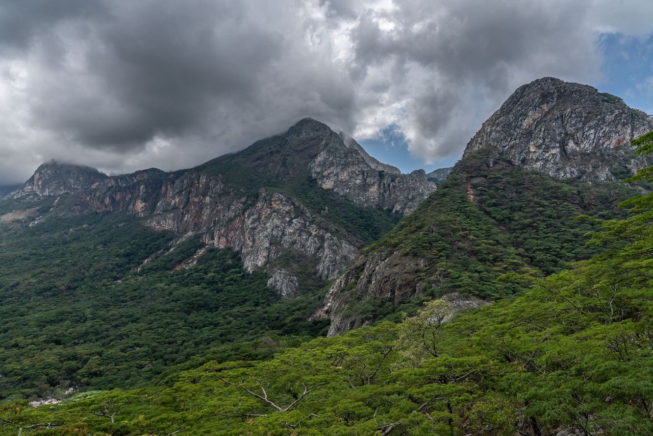 Conservação da Biodiversidade