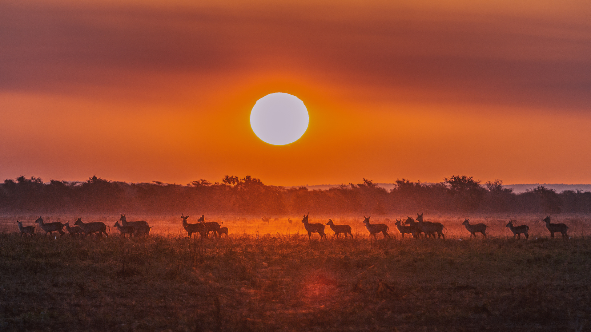 Estatísticas e Transparência Ambiental
