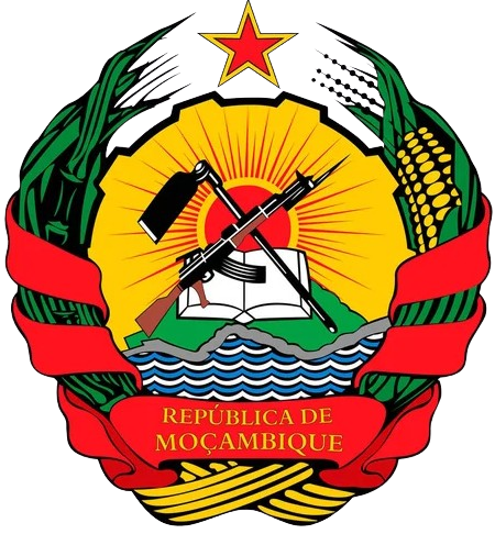 Logo DNMC